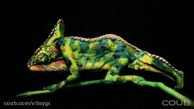 634b02623a96515dce7454c879c