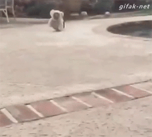 -песочница-пёсик-2027347