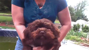 tumblr_n8jt9uYkOf1qbuqu2o1_400