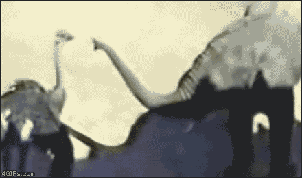 Страус и слон