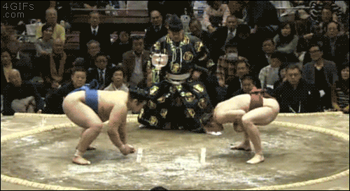 1429066184_gifs_10