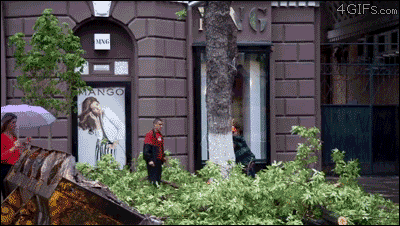 1428461560_gifs_10