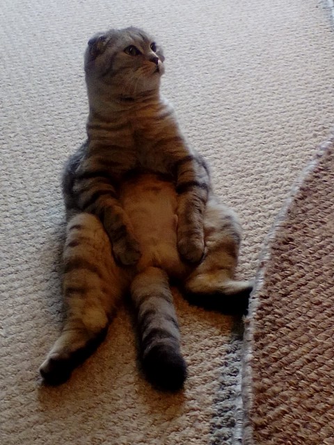 IMG_20150311_08.03.15