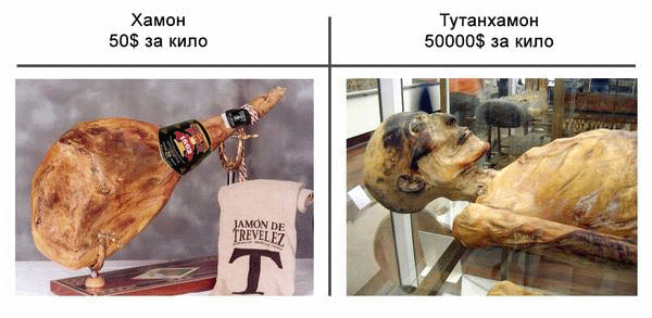 11149448_10152620414901330_4033360364131929781_n