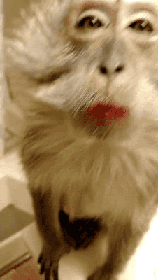 5b9e1159181b27a8aa55d44e843