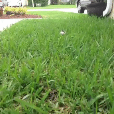 51fb56806c69574a827541cc139907e1