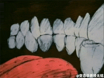 -женский-рот-