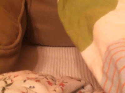 Gif (1)