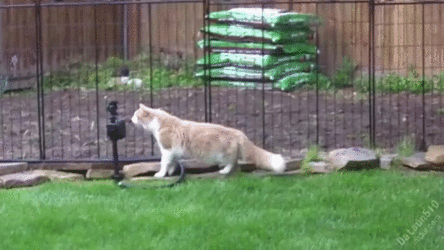 bzlGF7J_-_Imgur_converted