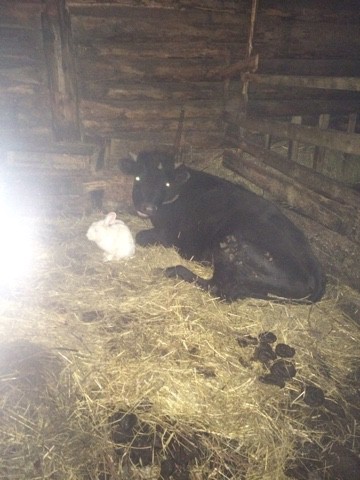 image-05-05-15-09-16