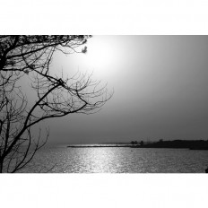 fotooboi_chernobelie_90000002