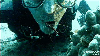 1431318164_815198757