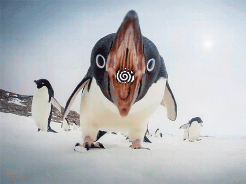 пинг