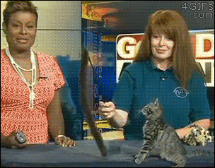 1431510043_2034214965