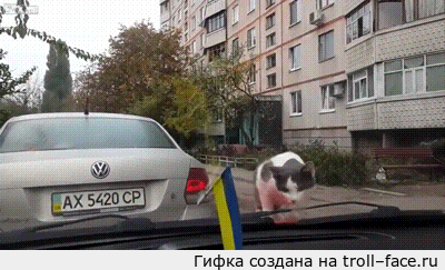 1382600890_1063792492