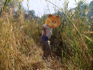 Lomm-баттхерт-янки-в-африке-1028106