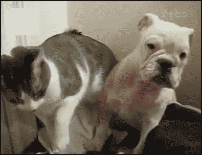 b6f7f148455461e0c29bf29c0ea0c14ac39b9b459e8e77d819ebbd1471268eeb_1