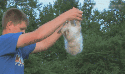 doc2318349_314302041_yapfiles.ru (1)