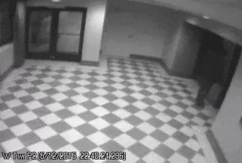 1431817931_329105635