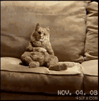 252
