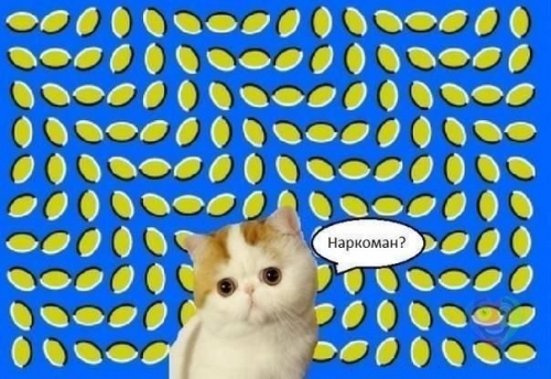 b7f37b540dEUQJLCP_147294_be5c5befc2