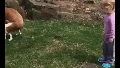 gifs_07