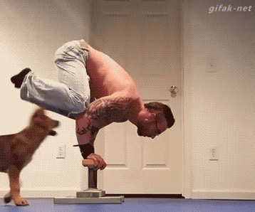 1428673602_giff-nabor_178-67