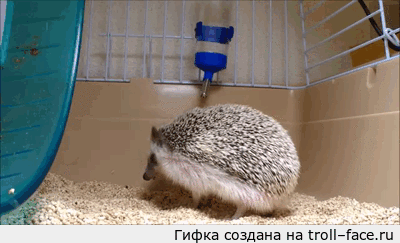 1417361799_1712884940