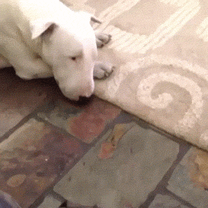 1432643149_758402418