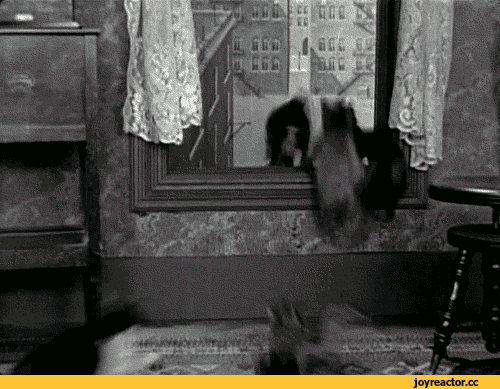 D0B3D0B8D184D0BAD0B8D0BAD0BED182D18D1901969_yapfiles.ru