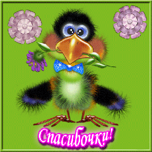 55cf35f692ef5a17d84d2cd6de4f265c5d78cf204591849