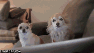 gifs_24
