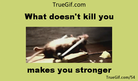 giphy (1)