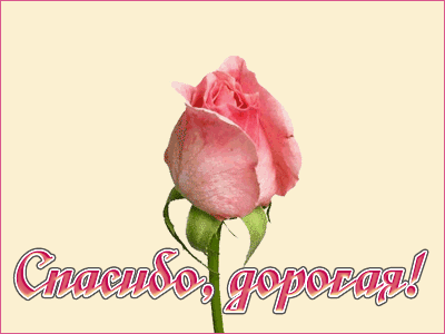 ed498f73fe5cb632ba6ceda3fc3f37144f864b130965969