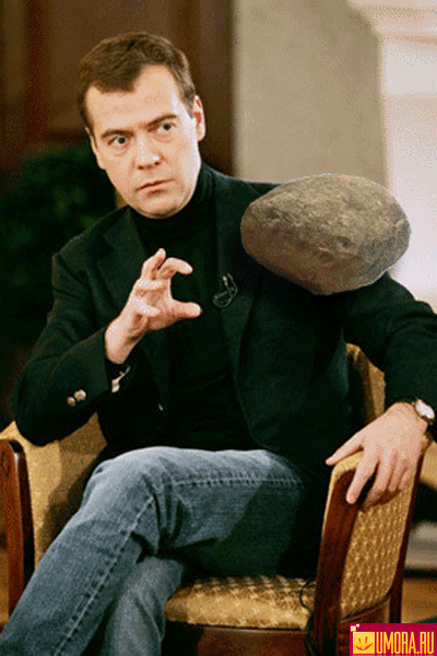 1396081390_medved_fokus