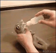 gifs_08