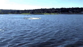 1433681269_754837441