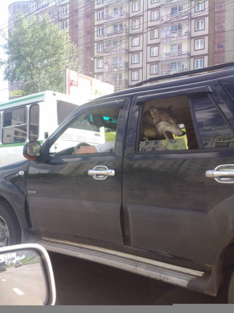 IMG_20150608_144826 (1)_1500x2000