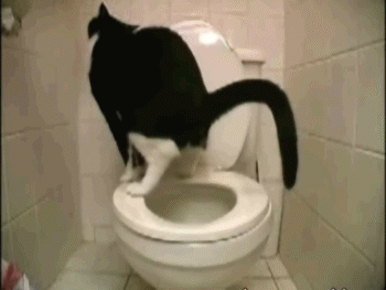 1271600961_1255651922_1255610599_9