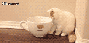 tumblr_np2b012JX31t95h1uo1_400