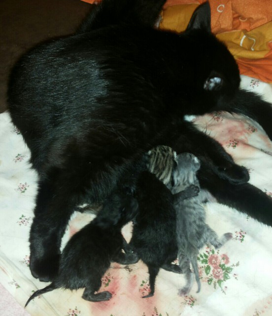 2015-06-16%2014.02.05-1