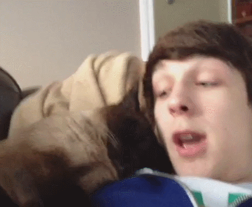 39aeb5addf637c48c4c92861e1e