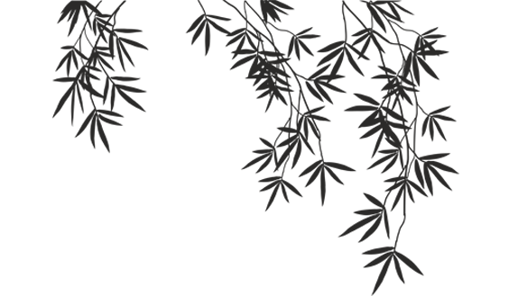 col (1)