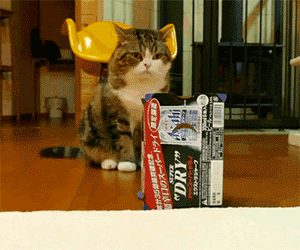 1434871136_1850923274