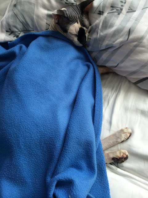 image-24-06-15-09-41-4