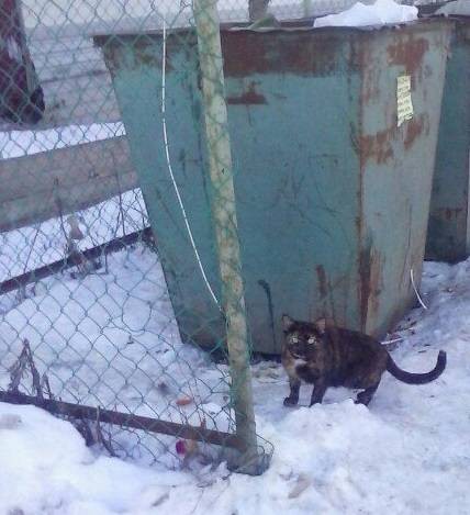 82e252ff6a65b0c277aaf8620b66ad6ad9764e206868363