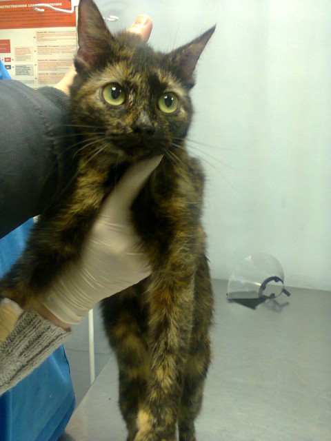 9796eb82be5b347e7ebd83727d5010604e197a207025259