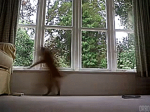 8bdc06b945c697691dbff05b488