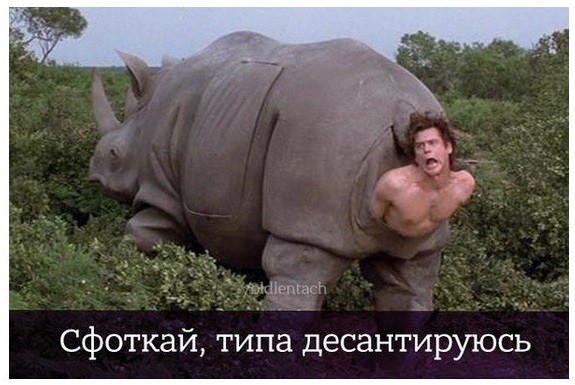 Nosorog_yapfiles.ru