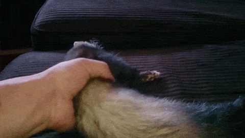 1435218530_313495683